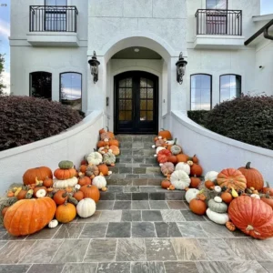 Sweet Pea 6 Extravaganza